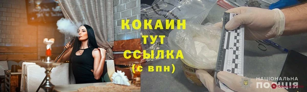 mdpv Няндома