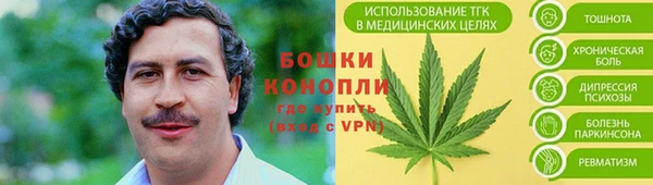 mdpv Няндома