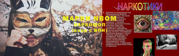 сатива Новодвинск