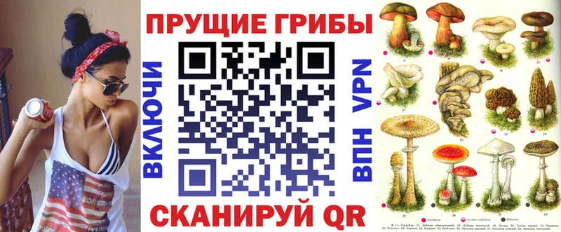 Псилоцибиновые грибы мухоморы  купить наркоту  Кисловодск 