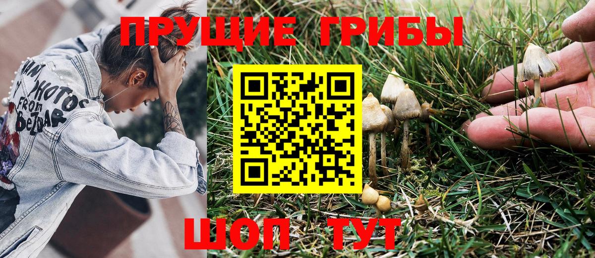 Кисловодск  Галлюциногенные грибы Psilocybe  Вход с VPN 