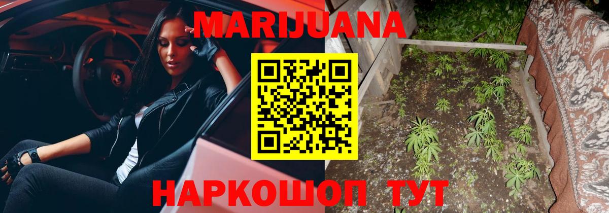 Канабис Кисловодск